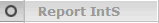 Report IntS