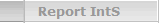 Report IntS